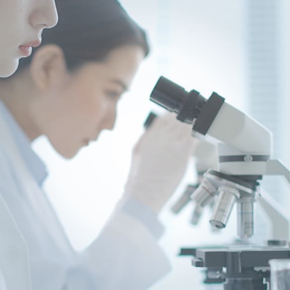 研究・協力会社