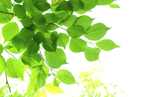 １８１．サンブロック