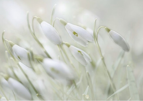 ２４．最強の万能薬！？