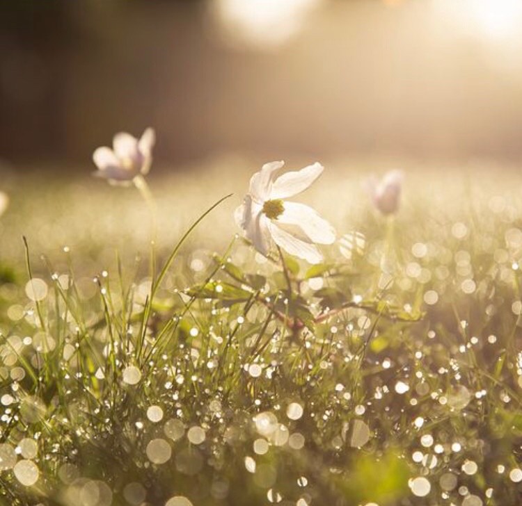 １７．感染症と手荒れ