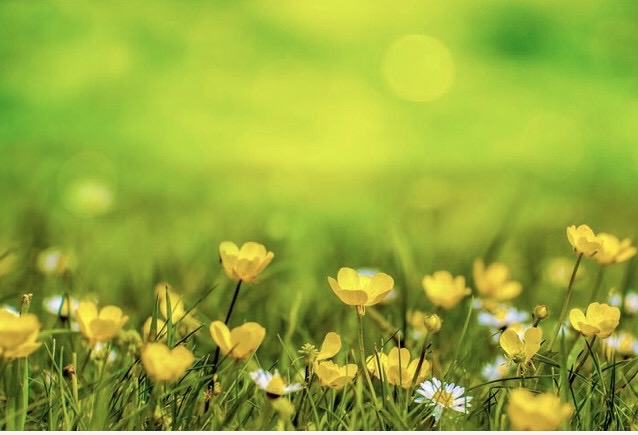 ２３．睡眠と老化