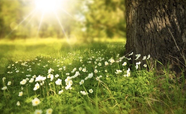 ２１．DNA損傷リスク