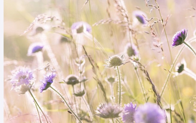 ３０．目指すは「ゆるがない肌」