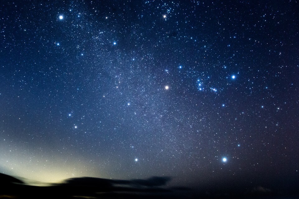 １６３．食養学