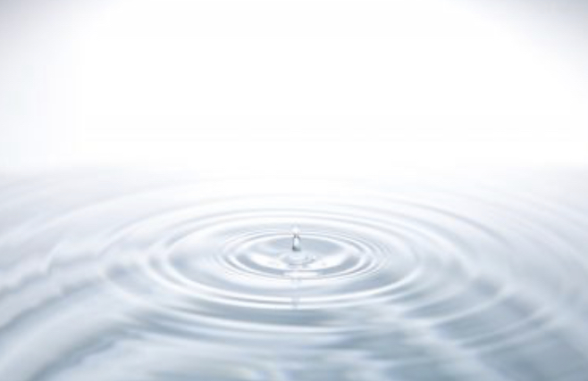 １６６．代謝と栄養