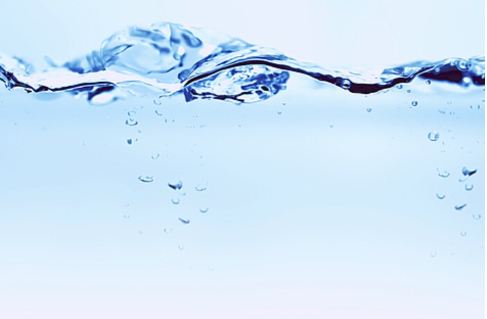 １４．親愛なる菌たちへ