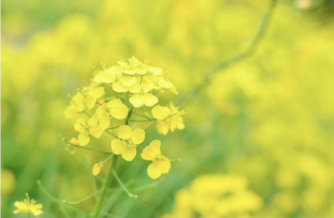 ９３．アレルギーに負けないために